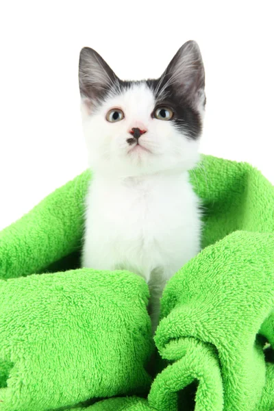 Small kitten in green towel isolated on white — Stock Photo, Image