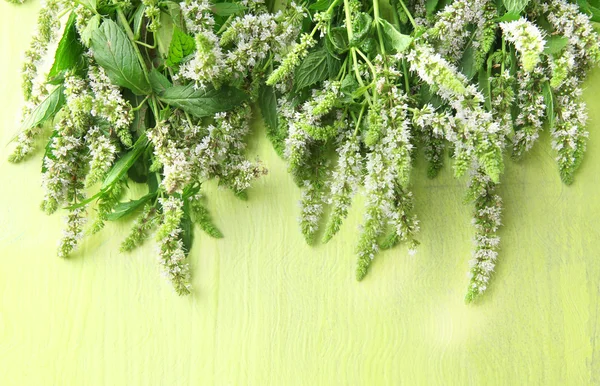 木製の緑の背景に新鮮なミントの花 — ストック写真