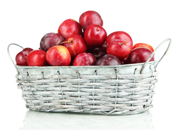 Ripe plums in basket isolated on white — Stock Photo, Image