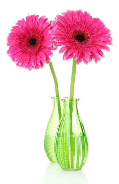 Hermosas flores de gerberas rosadas en jarrones aislados en blanco —  Fotos de Stock