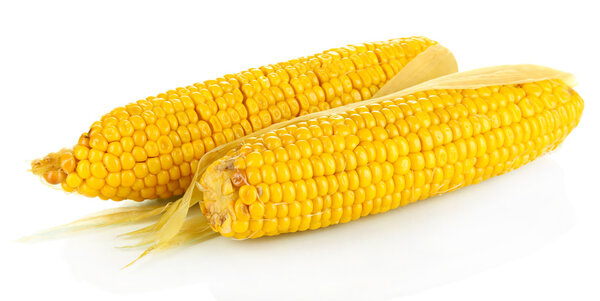 вареная кукуруза изолированы на белом
