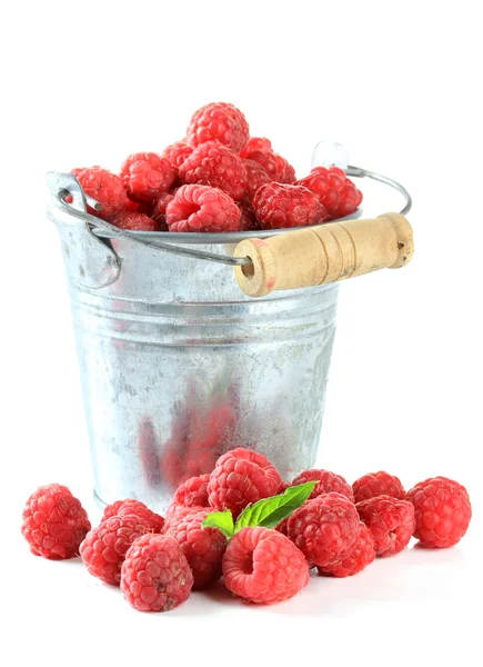 Ripe sweet raspberries in pail, isolated on white — Stock Photo, Image