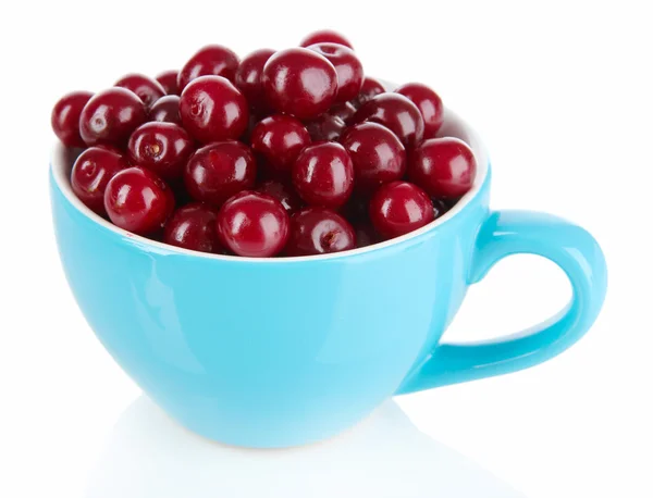 Sweet cherry in cup isolated on white — Stock Photo, Image