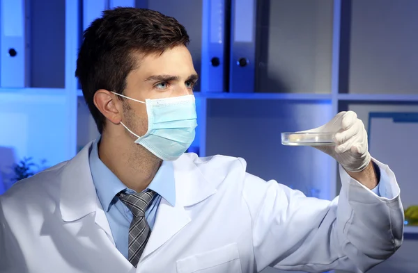 Joven científico de laboratorio con placa de Petri trabajando en laboratorio — Foto de Stock