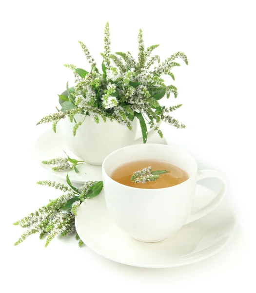 Чашка травяного чая со свежими цветами мяты изолированы на белом — стоковое фото