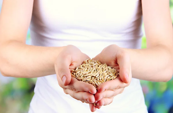 Wheat grain in female hands on natural background — Stock Photo, Image