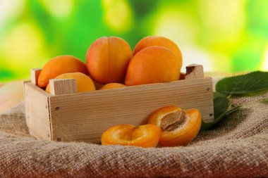 Kayısı çekmecesinde üzerinde torbalama doğa zemin üzerine ahşap tablo