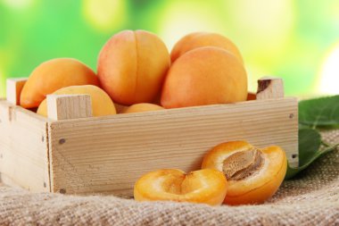 Kayısı çekmecesinde üzerinde torbalama doğa zemin üzerine ahşap tablo