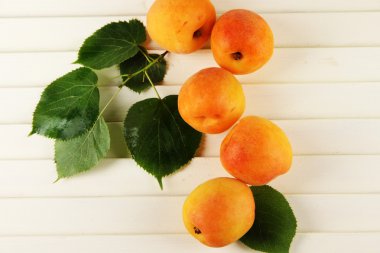 Kayısı ahşap tablo