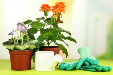 Tencere doğal zemin üzerine ahşap masa üzerine güzel çiçekler