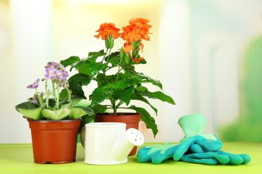 Tencere doğal zemin üzerine ahşap masa üzerine güzel çiçekler