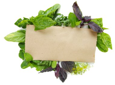 eski kahverengi kağıt üzerinde beyaz izole taze otlar ile