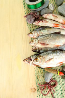 Balık ağı ahşap zemin üzerinde balıklar