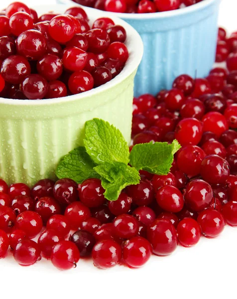 Ripe red cranberries in bowls, isolated on whit — Stock Photo, Image