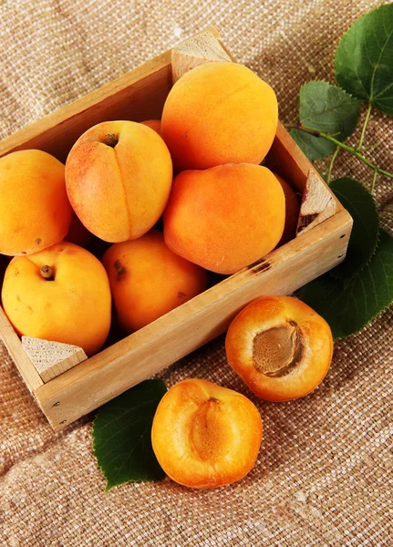 Apricots in drawer on bagging on wooden table — Stock Photo, Image