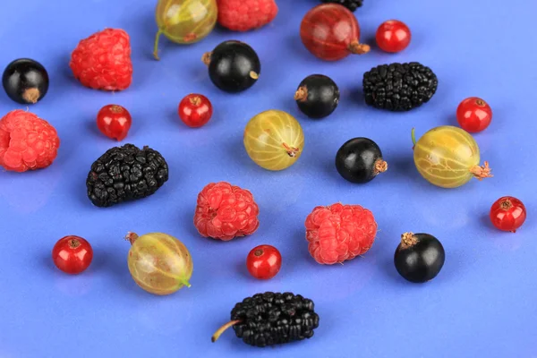 Ripe berries on blue background — Stock Photo, Image