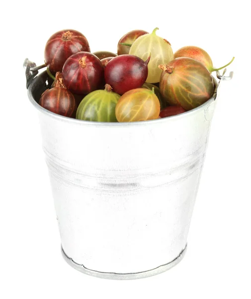 Fresh gooseberries in bucket isolated on white — Stock Photo, Image