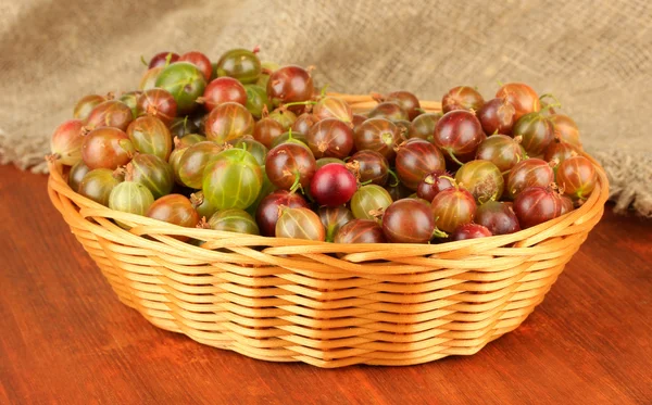 Fresh gooseberries in wicker basket on table close-up — Stock Photo, Image