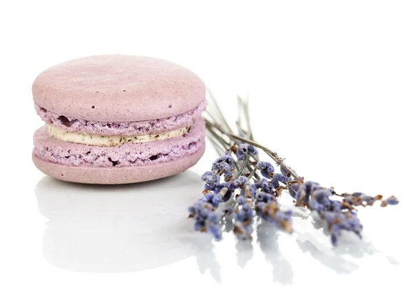 Lavender macaroon isolated on white — Stock Photo, Image