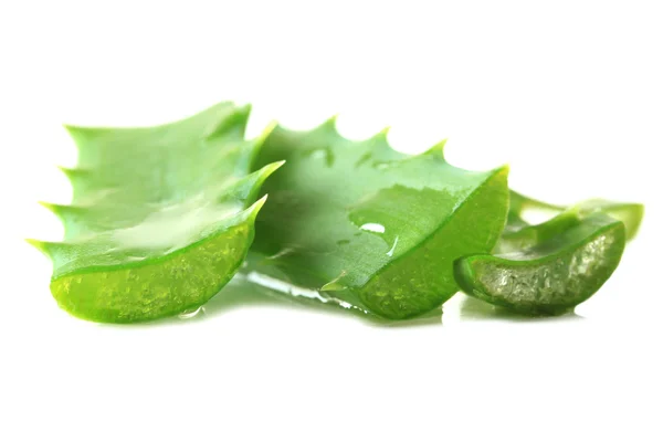 Aloe leaves with drops, isolated on white — Stock Photo, Image