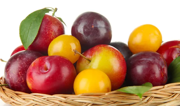 Prunes mûres dans le panier isolé sur blanc — Photo