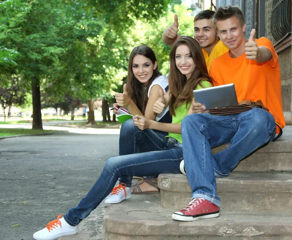 Gelukkig groep van jonge studenten zitten in park — Stockfoto