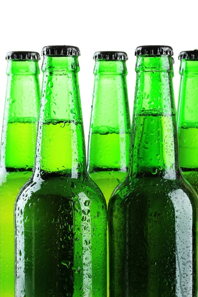 Пляшки пива ізольовані на білому — стокове фото