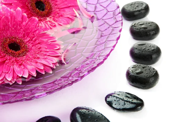 Wellness-Steine und Gerbera-Blumen auf Wasser, isoliert auf Weiß — Stockfoto