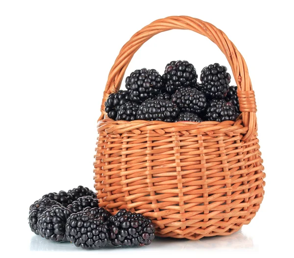甜黑莓柳条篮中的隔离在白色 — 图库照片