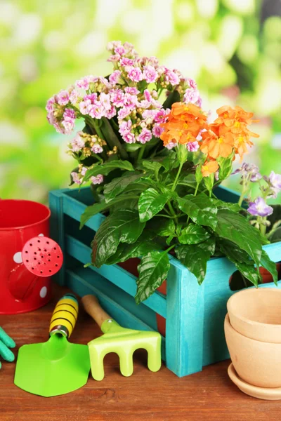 Hermosas flores en macetas sobre mesa de madera sobre fondo natural — Foto de Stock