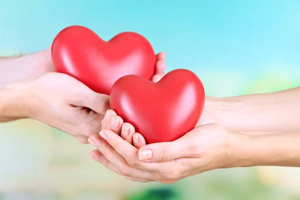 Hearts in hands on nature background — Stock Photo, Image