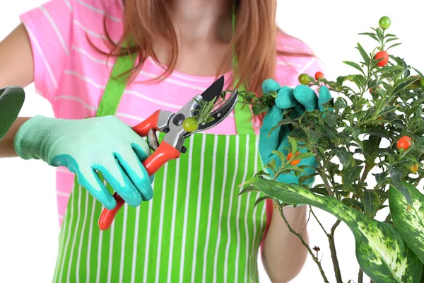 Mooi meisje tuinman met bloemen geïsoleerd op wit — Stockfoto