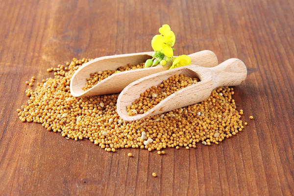 Mustard seeds with mustard flower on wooden background — Stock Photo, Image