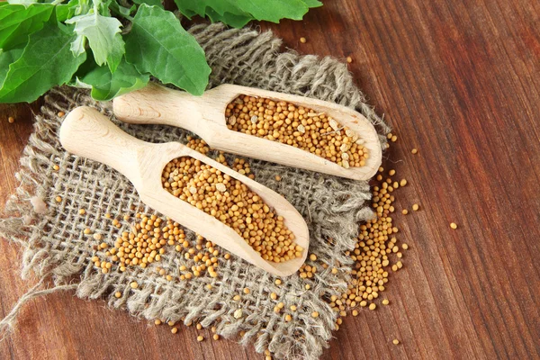 Semillas de mostaza con hojas de mostaza sobre fondo de madera — Foto de Stock