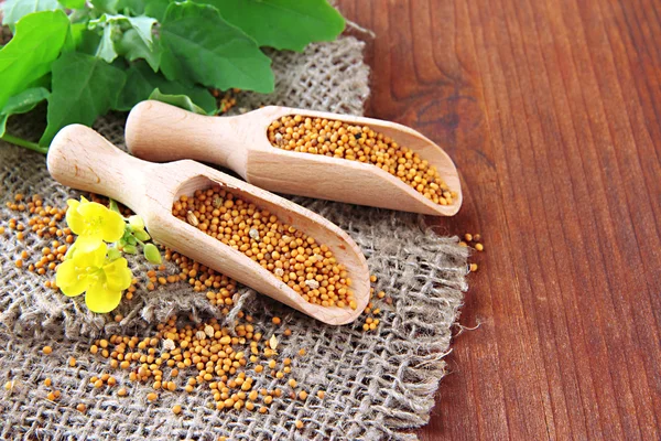 Mustard seeds with mustard flower on wooden background — Stock Photo, Image