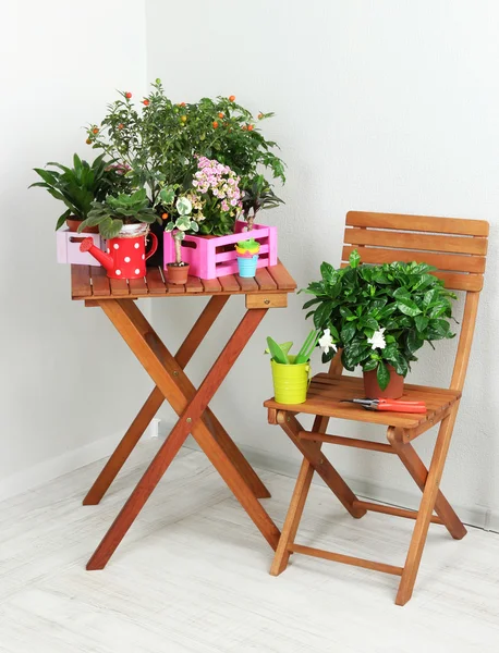 Viele schöne Blumen auf Tisch und Stuhl im Zimmer — Stockfoto