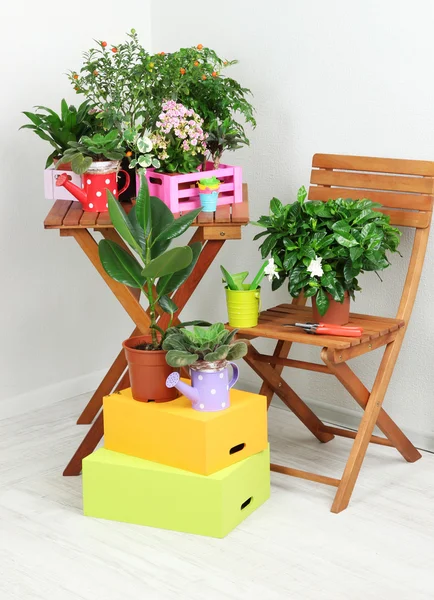 Veel mooie bloemen op tafel en stoel in kamer — Stockfoto