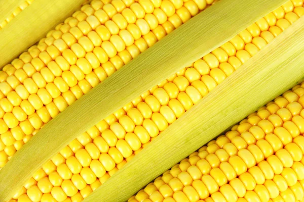 Crude corns — Stock Photo, Image