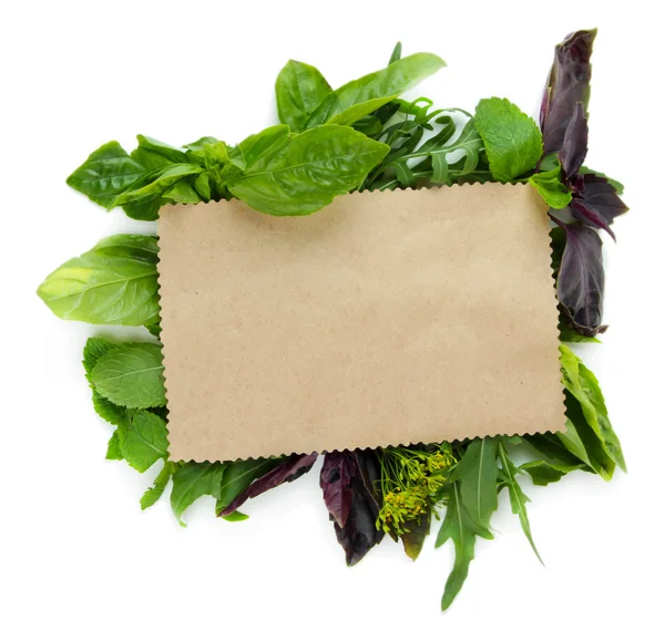 Vecchia carta marrone con erbe fresche, isolata su bianco — Foto Stock