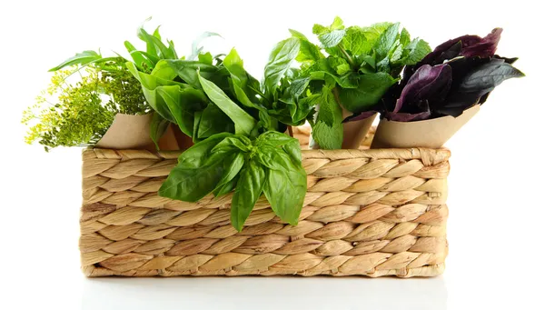 Fresh herbs in basket, isolated on white — Stock Photo, Image