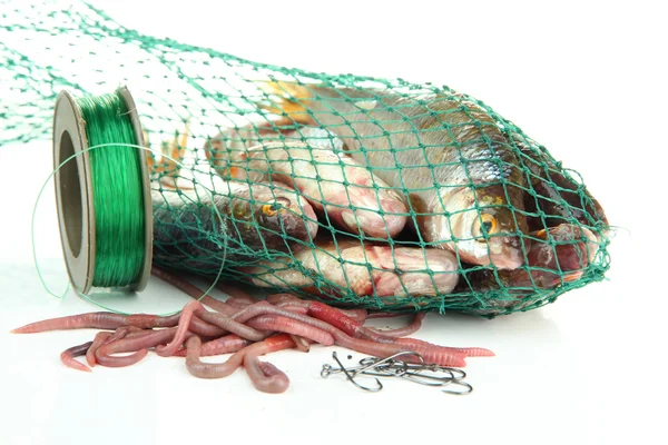 Poissons dans le filet de pêche isolés sur blanc — Photo