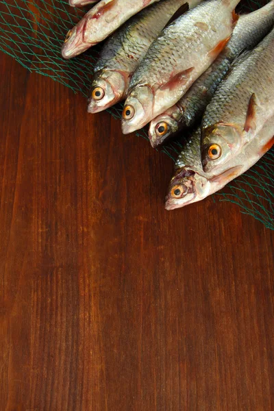 Fishes on fishing net on wooden background — Stock Photo, Image
