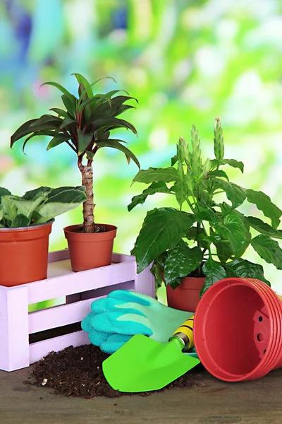 Schöne Blumen in Töpfen auf dem Tisch auf hellem Hintergrund — Stockfoto