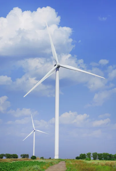 Windmills field — Stock Photo, Image