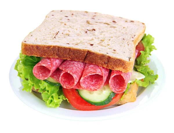 Gustoso panino con salsiccia di salame e verdure su piatto bianco, isolato su bianco — Foto Stock