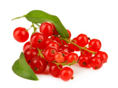 Frenk üzümü üzerinde beyaz izole Şubesi