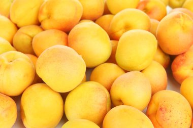 Naturel kayısı taze yakın çekim