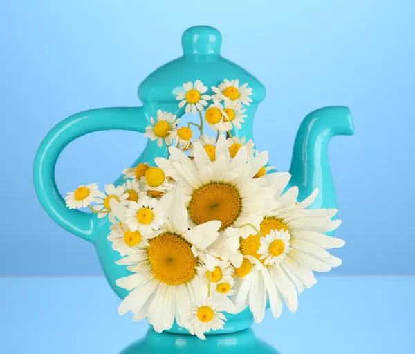 在彩色背景上的茶壶中美丽花束 chamomiles — 图库照片