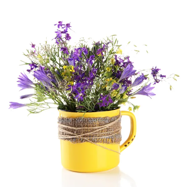 Beautiful bouquet of wildflowers in cup, isolated on white — Stock Photo, Image