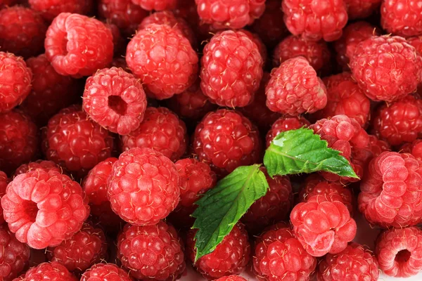 Ripe sweet raspberries, close up — Stock Photo, Image